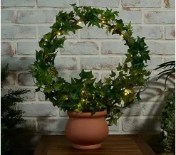 Compass Home Illuminated Grapevine Wreath in Planter - Terracotta