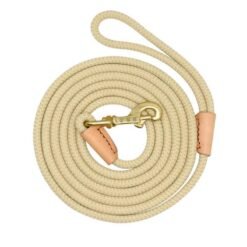 Dog training belt - Beige, 3M